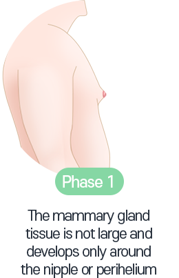 The mammary gland tissue is not large and develops only around the nipple or perihelium