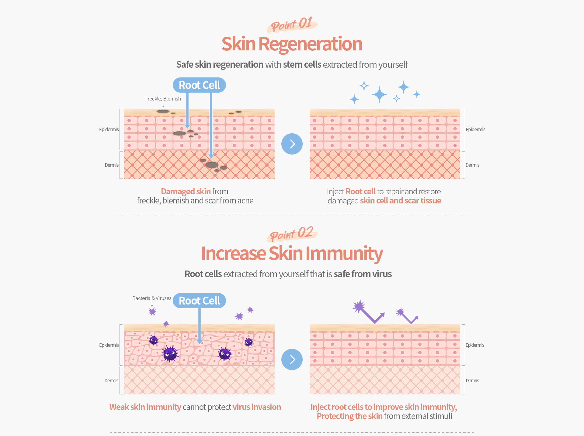 point 01.Skin Regeneration, point 02.Increase Skin Immunity