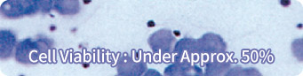 Cell Viability : Under Approx. 50%