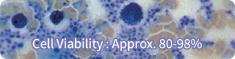 Cell Viability : Approx. 80-98%